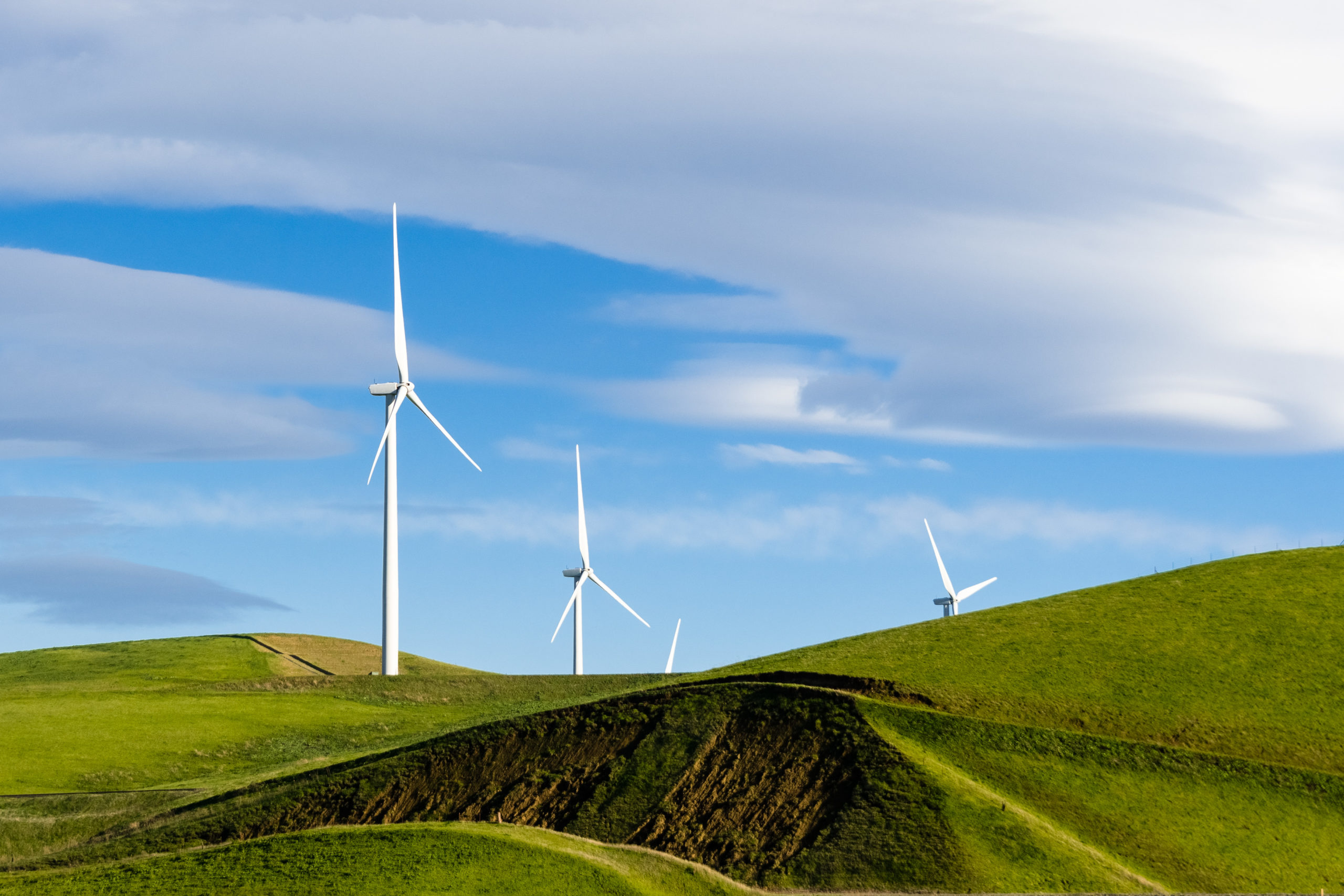 Image of Windmills in Livermore